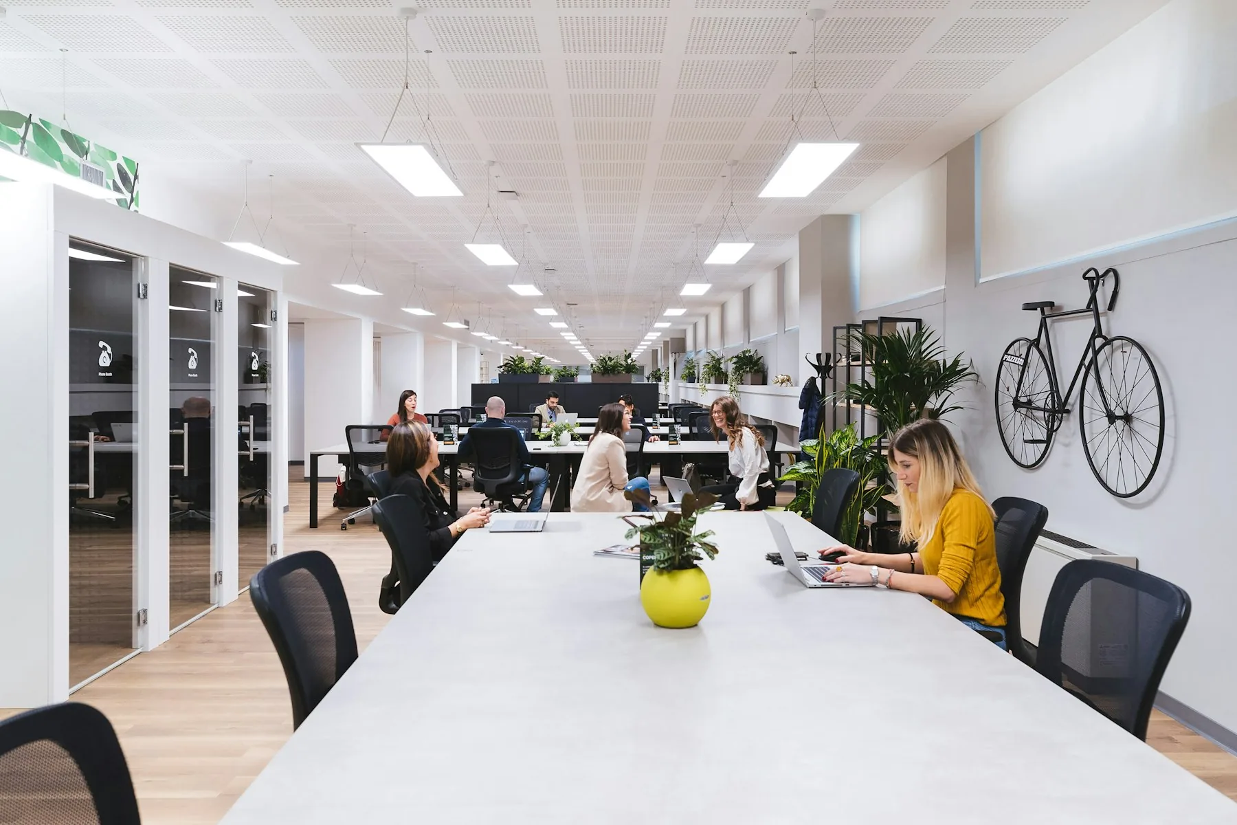 Oficina luminosa con una mesa larga y blanca y varias personas trabajando