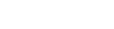 Microsoft Partner